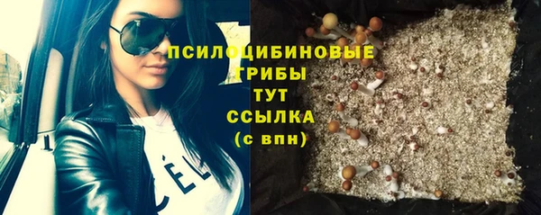 прущие крисы Алексин